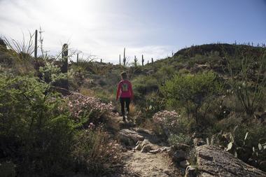 Black Mountain Trail