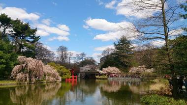 Brooklyn Botanic Garden