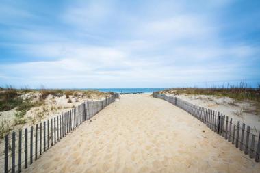 Cape Henlopen State Park