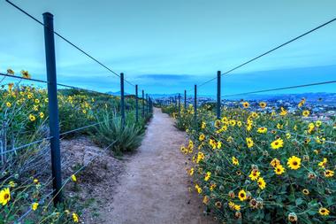 Dana Point Nature Interpretive Center