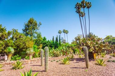 Enjoy nature at Beverly Gardens Park