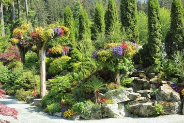 Glacier Gardens Rainforest Adventure