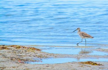 Lemon Bay Park and Environmental Center