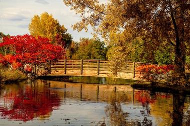 Stroll through The Hudson Gardens and Event Center