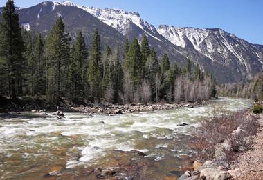 Animas River