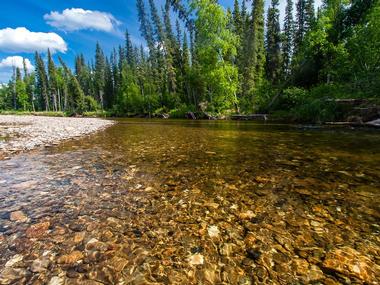 Chena River State Recreation Area