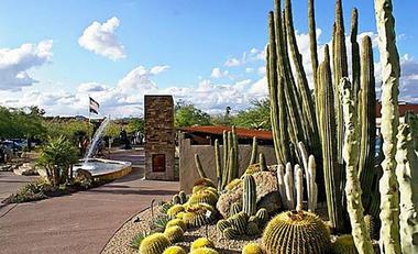 Desert Foothills Library