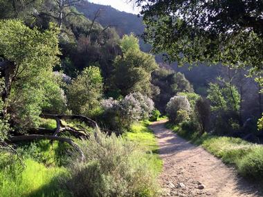 Placerita Canyon Nature Center