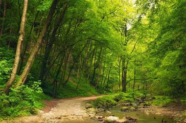 San Miguel River Trail