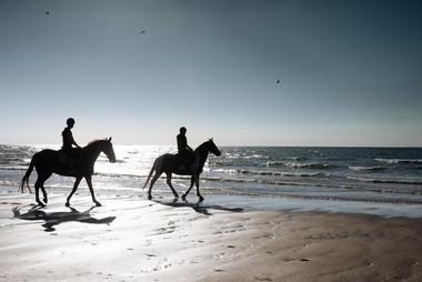 Amelia Island Horseback Riding