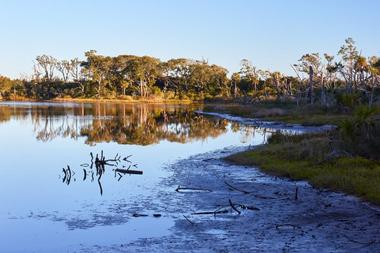 Big Talbot Island State Park