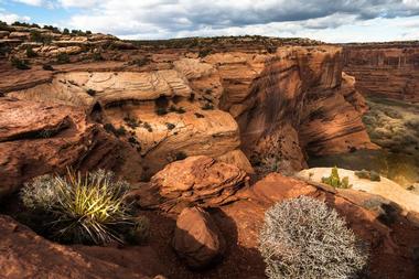 Canyon del Muerto