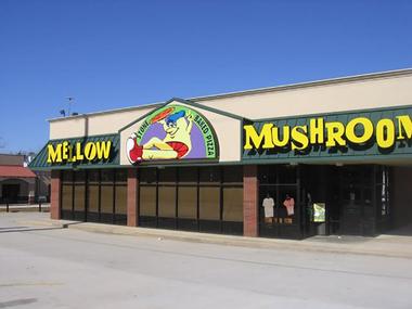 Dine at Mellow Mushroom Restaurant