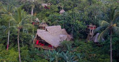 Dominican Treehouse Village, Santa Barbara de Samana, Dominican Republic