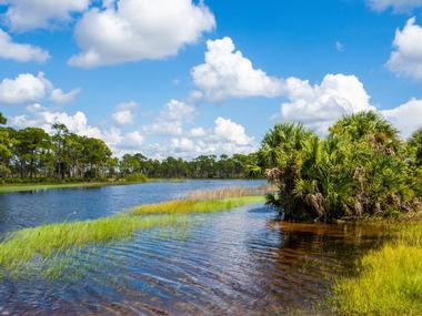 Fred C. Babcock-Cecil M. Webb Wildlife Management Area