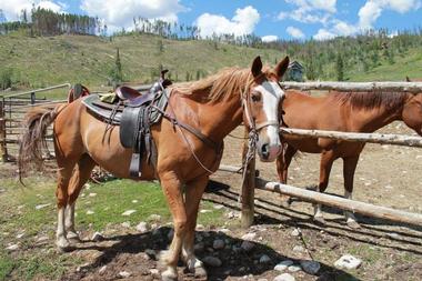 Gore Range Outfitters