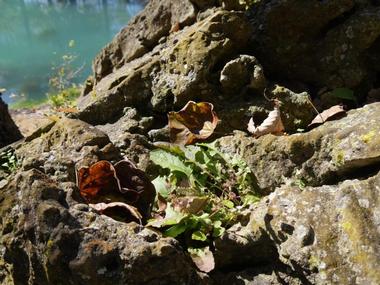 Pivot Rock and Natural Bridge