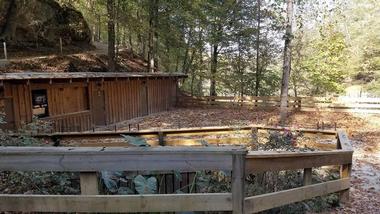 Rattlesnake Saloon