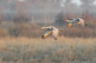 Russell W. Peterson Wildlife Refuge