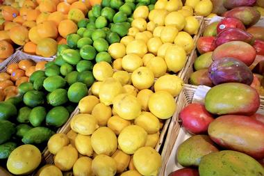 St. Petersburg Saturday Morning Market