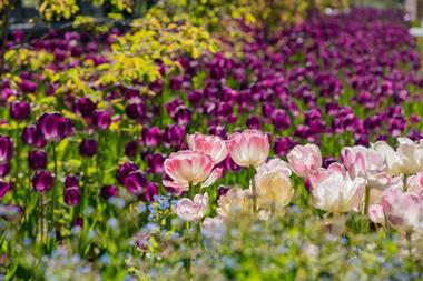 Stroll through Denver Botanic Gardens Chatfield Farms