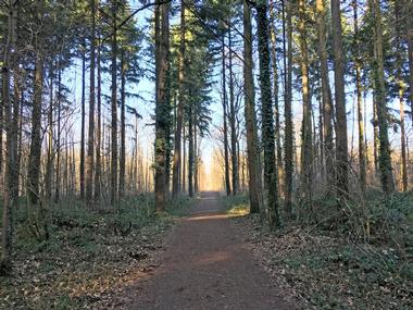 The Madison County Nature Trail