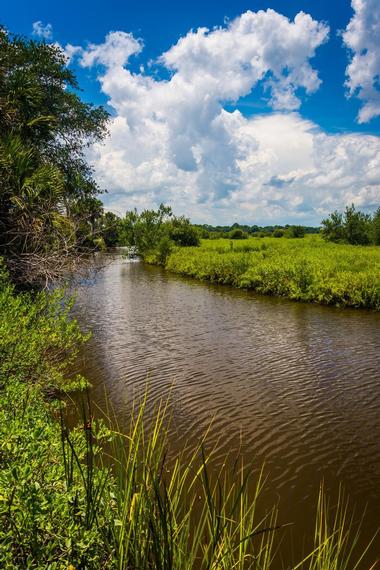 Tomoka River Paddling Trail