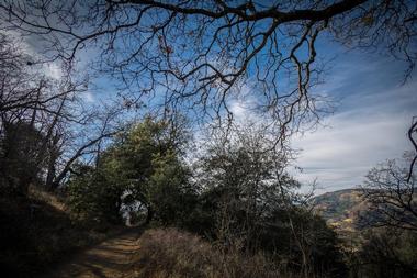 Volcan Mountain Trailhead