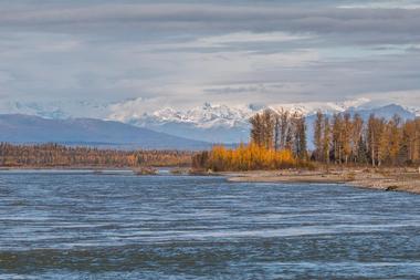 Admire the view from Talkeetna Riverfront Park