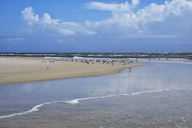 Amelia Island State Park