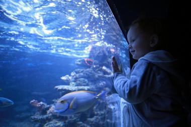 ECHO Lake Aquarium and Science Center