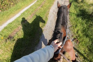 Enjoy horseback riding with Alaska Horsemen Trail Adventures