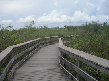 Have a picnic in Lori Wilson Park