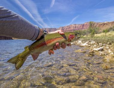 Kelly Outfitters at Lees Ferry