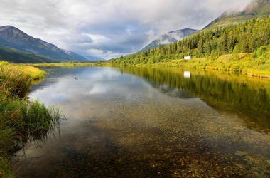 Kenai River Estuary