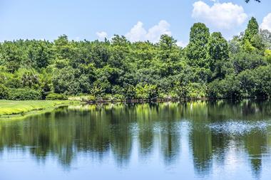 Pickwick Lake