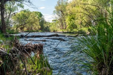 Verde River Greenway