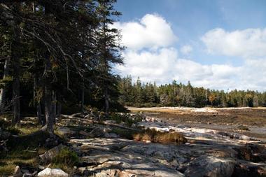 Acadia National Park