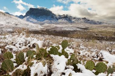 Big Bend National Park