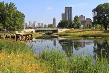 Lincoln Park Zoo