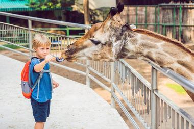 Zoo Miami