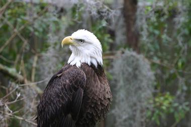 ZooTampa at Lowry Park