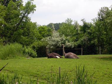 Pittsburgh Zoo