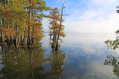 Reelfoot Lake