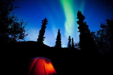 Denali National Park