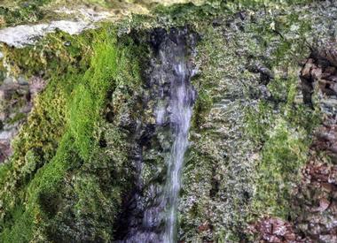 Rose Valley Falls Trail