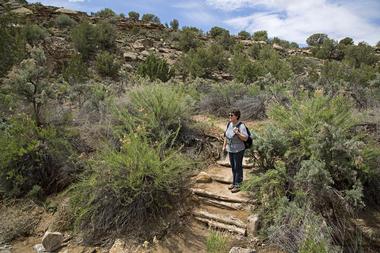 Ute Trail, Montrose, Colorado