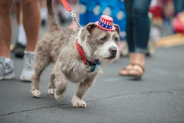 July 4th Pet Parade & Old Fashioned Festival, OR