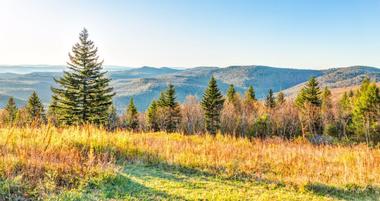 25 Virginia Parks