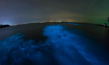 Luminous Lagoon, Jamaica